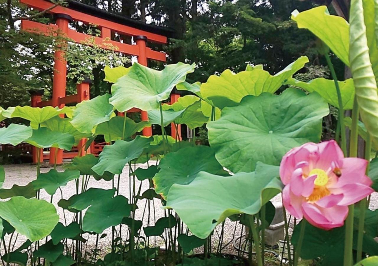 Ito-Gun - House - Vacation Stay 31960V Kudoyama Εξωτερικό φωτογραφία